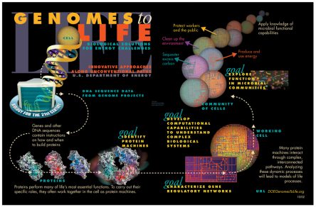Genomes to Life graphic
