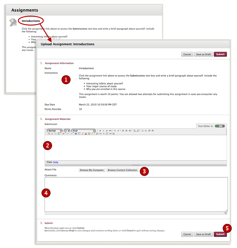 how to access submitted assignments on blackboard