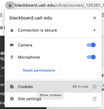 Select 'Cookies' from the 'View Site Information' menu in the Chrome address bar