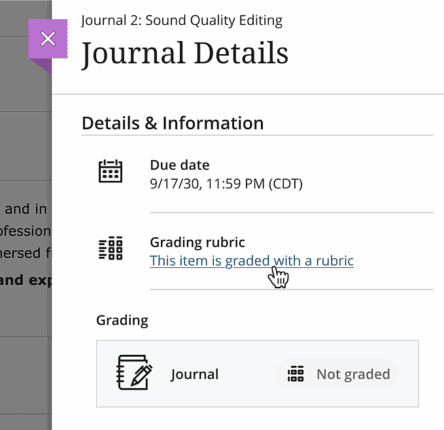"The image shows Journal Details. The text that follows provides information about its functions."