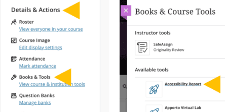 To find the Ally course report, navigate tot he Details & Actions menu, select Books & Tools, then select Accessibility Report.