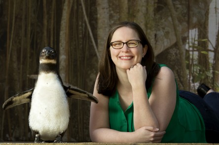 image of graduate assistant Jessica Erwin who is receiving the Public History Graduate Student of the Year award is with an African penguin on March 15, 2016. She worked at the LR Zoo where she was the project manager for the Public History Seminar course during the fall of 2015 (the class writes a history of a selected institution every other year).