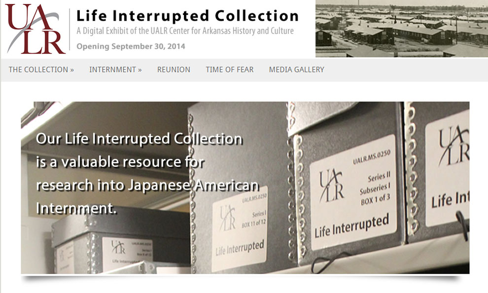 Life Interrupted Collection