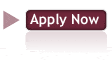 graduate programs application button