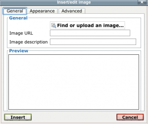 Pop-up window in Moodle illustrating the prompt for an image description