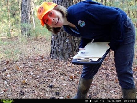 Grace Cayley Griffiths