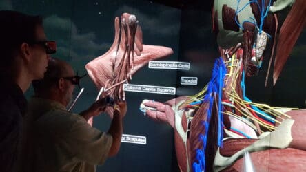 anatomy class in the CAVE