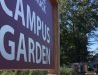 Campus Garden sign and painted shed