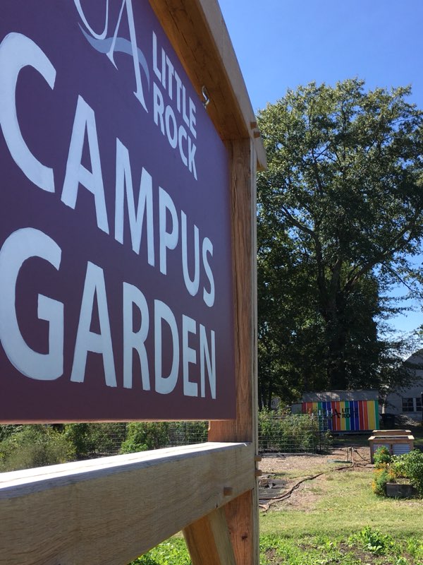 Campus Garden sign and painted shed