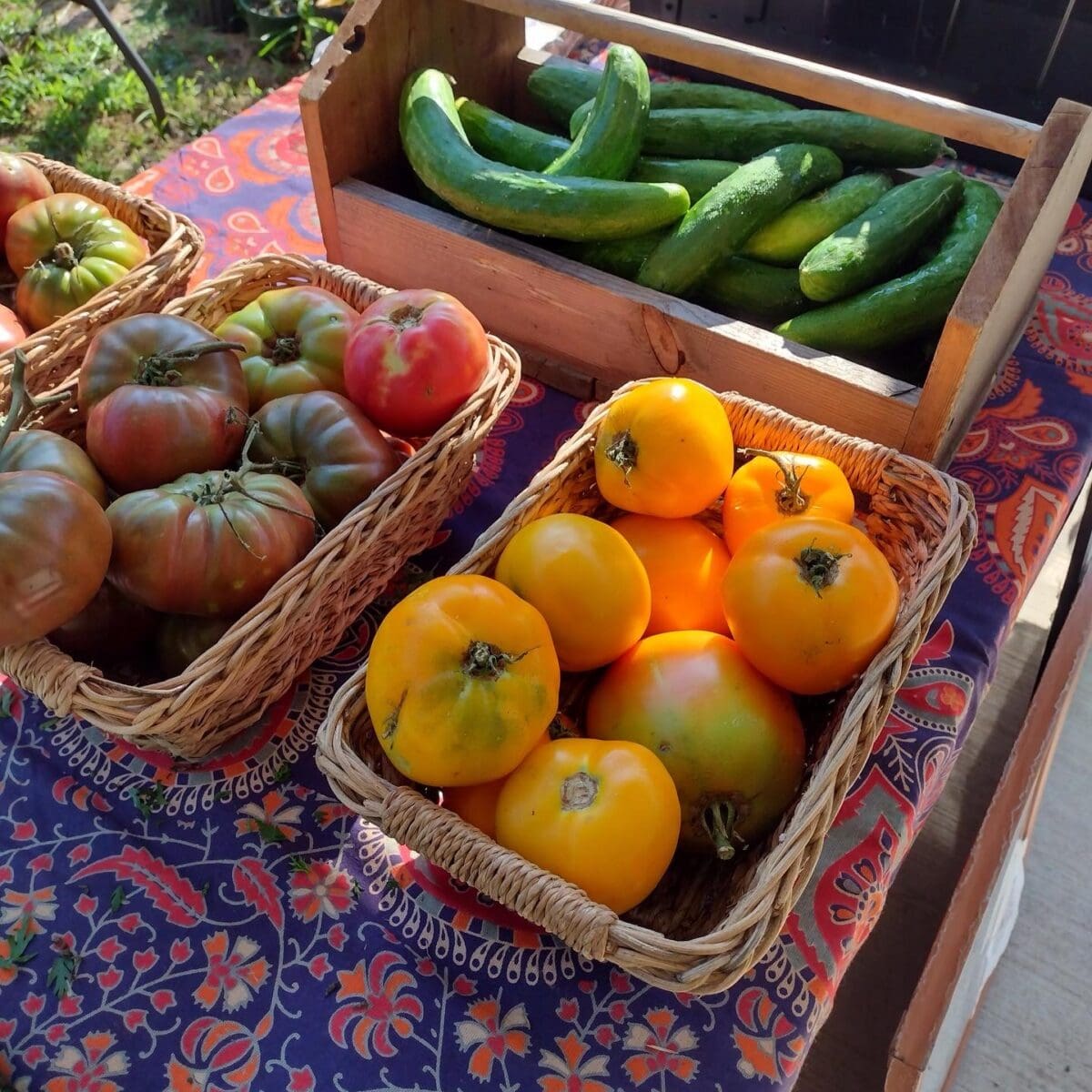 tomatoes and cucumbers in baskets on colorful tablecloth