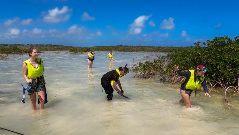 Geology and Ecology of the Bahamas Course Geology UA Little Rock