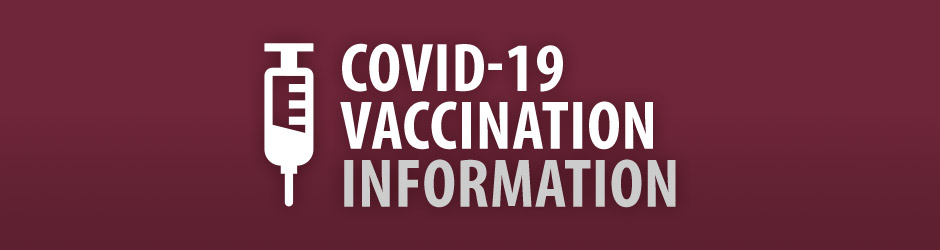 Syringe icon next to text that says, COVID-19 Vaccination Information