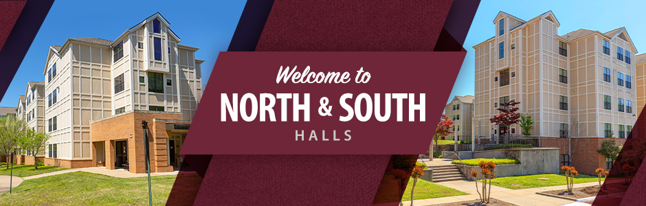 Welcome to the North and South Halls