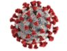 image of a Covid 19 coronavirus cell