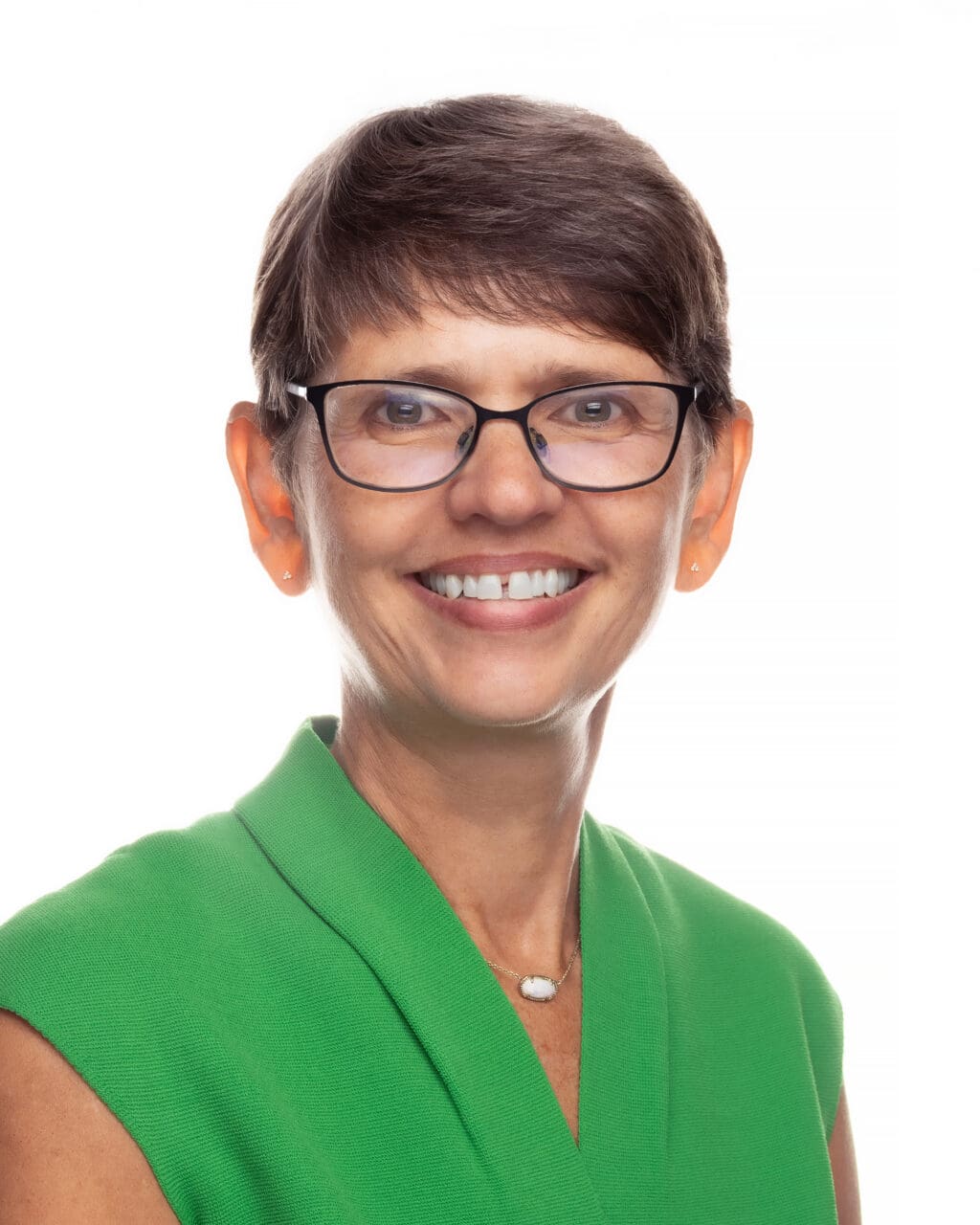 Theresa M. Beiner, professor of law at the UA Little Rock William H. Bowen School of Law.