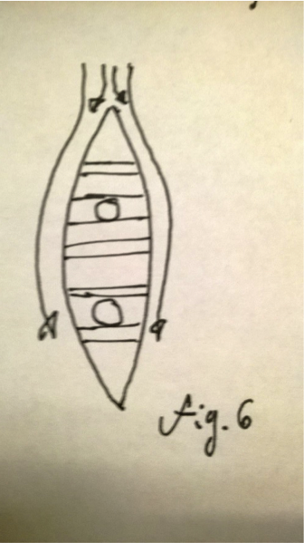 Boat Figure 6