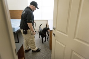 K-9 unit explosive search training at UALR’s South Hall.
