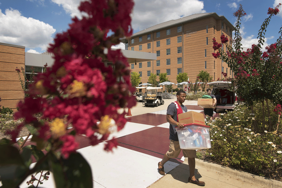 Volunteers carry containers during UALR's Move-In Day on Wednesday, August 12, 2015. Photo by Lonnie Timmons III/UALR Communications.