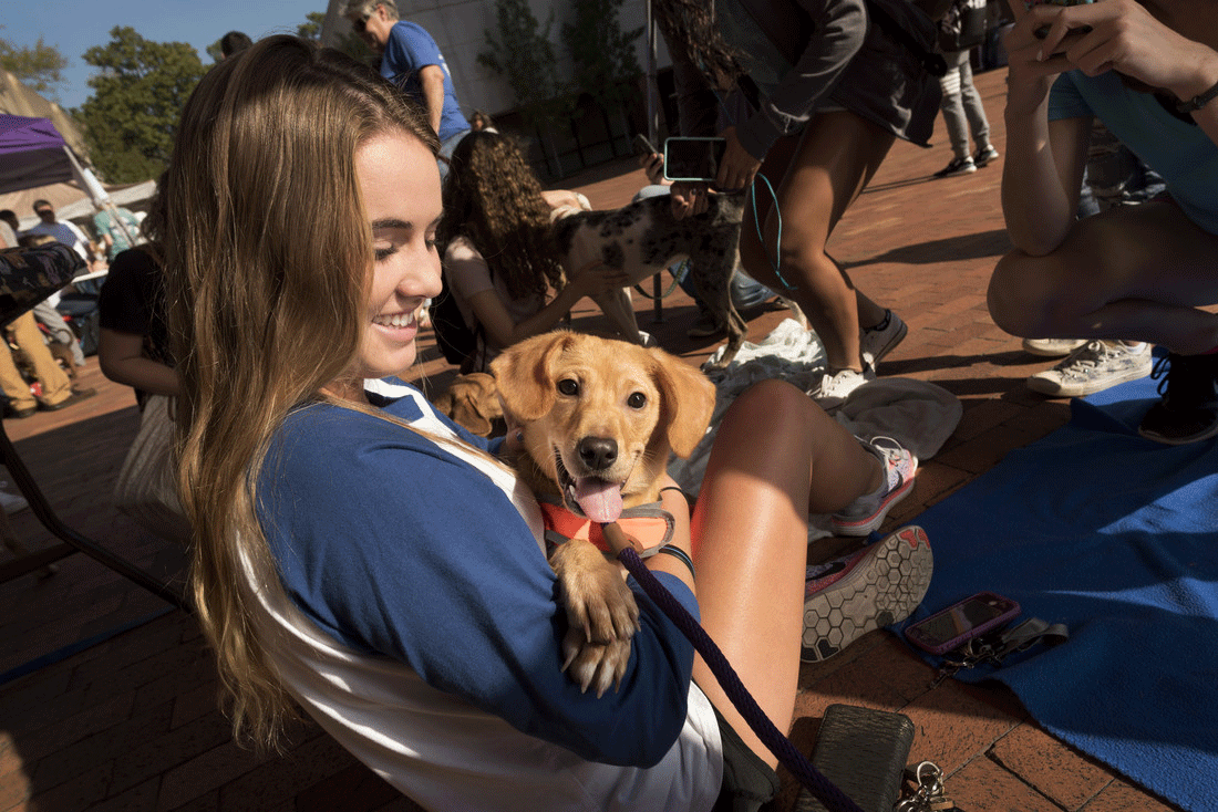 A University of Arkansas at Little Rock student gets some quality puppy time during the Rent-A-Puppy event.
