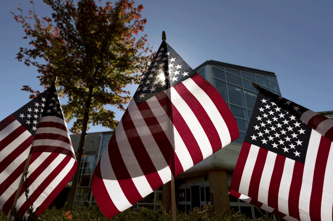 Veterans Day flags