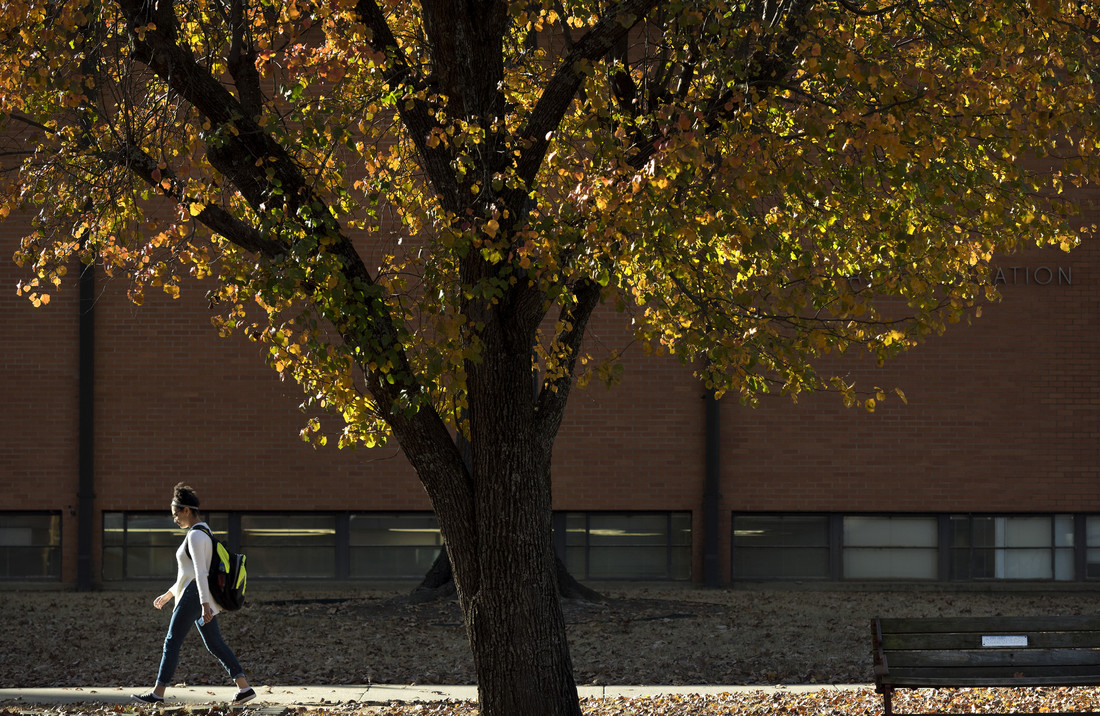 A warm fall day as a student walks past the Administration building on November 28, 2017.