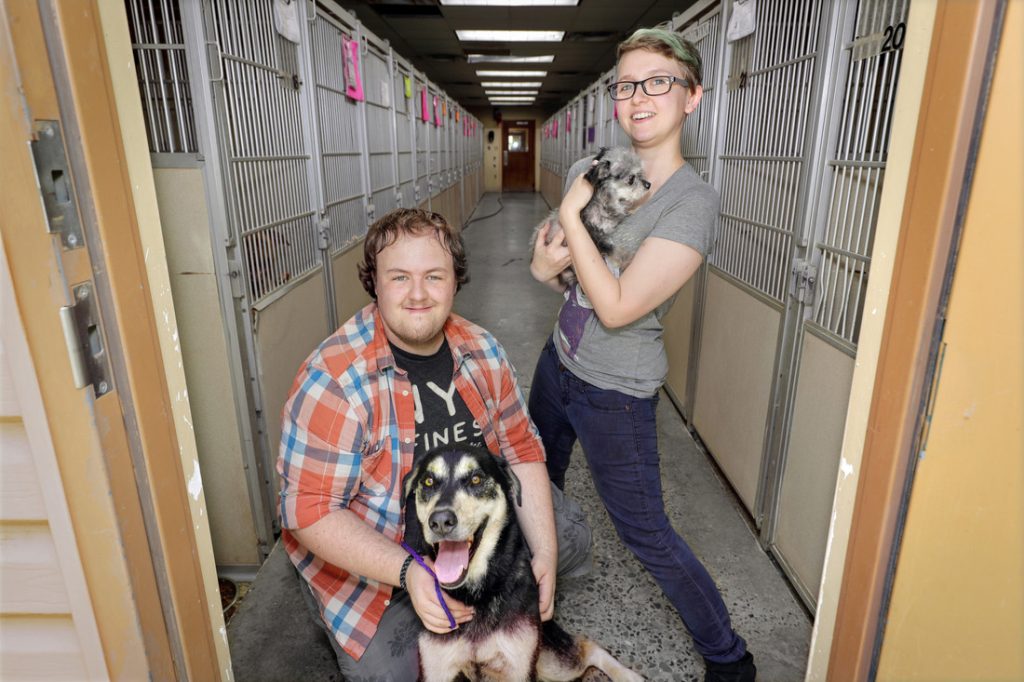 UA Little Rock graduate students Olivia Dunlap and Tanner Marshall are developing a dog rescue video game, "To The Rescue." Photo by Ben Krain.