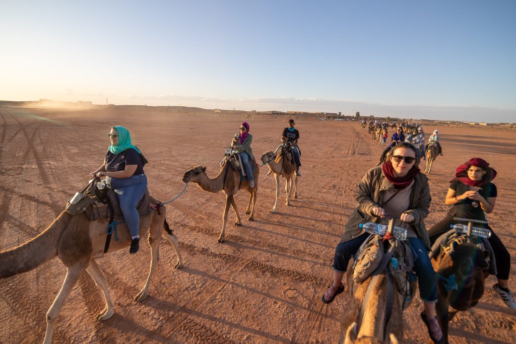 UA Little Rock students ride camels while camping in the Moroccan desert. Photo by Larry Rhodes.