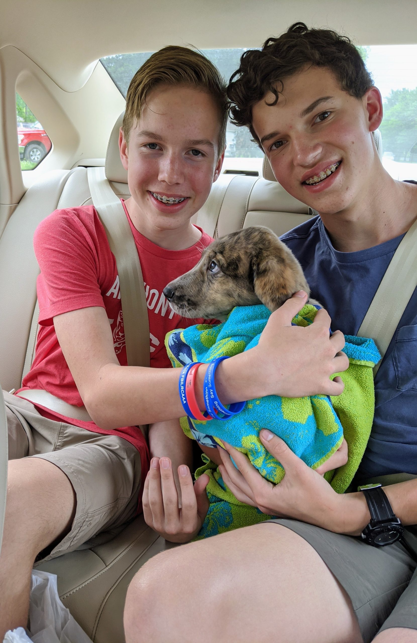 Laura McClellan's sons, Julian and Will, with their new puppy, Bruce.