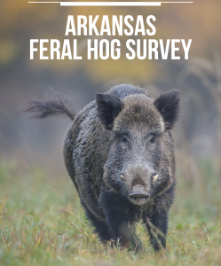 The cover of the survey on feral hogs in Arkansas. 