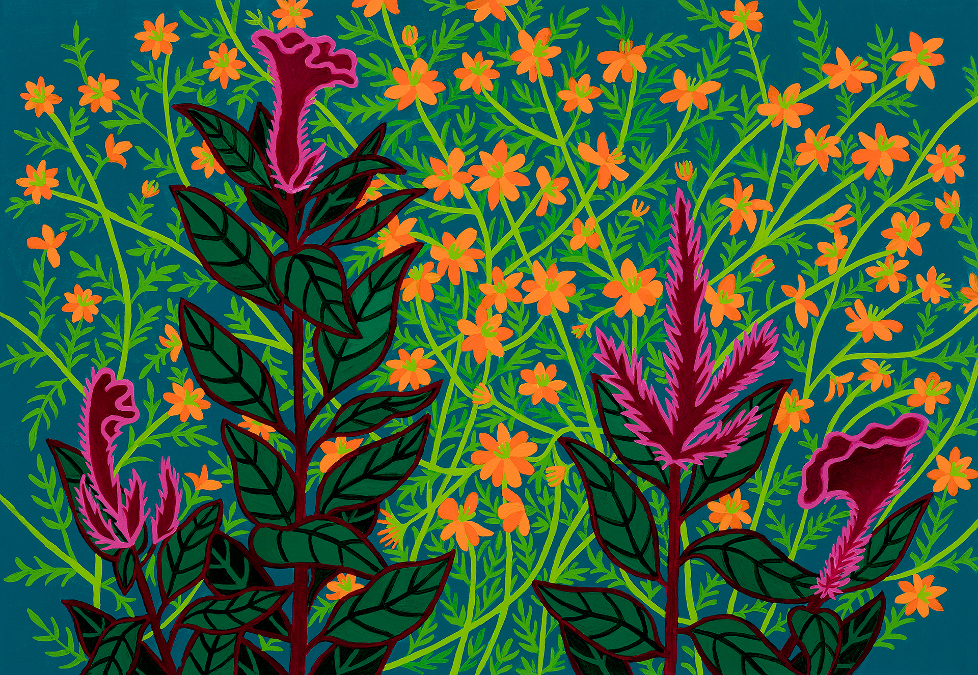 Susan Chambers' "Coreopsis and Coxcomb"