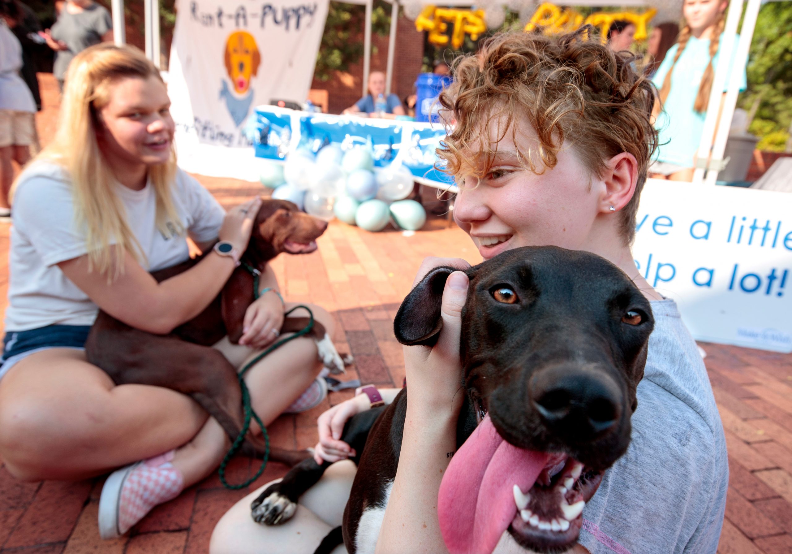 Students donate $1 dollar a minute to pet and play with dogs available for adoption during the Chi-Omega Rent-A-Puppy philanthropy event, which raises money for the Make-A-Wish Foundation. Photo by Benjamin Krain 09/30/21