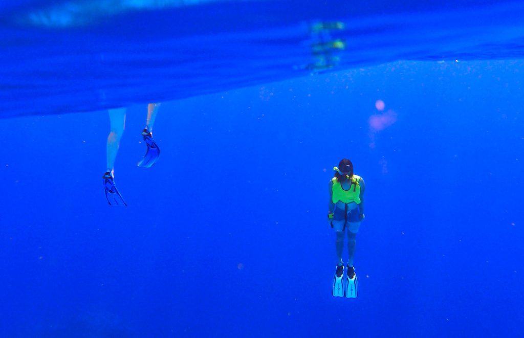 Earth Science students in UA Little Rocks Geology and Ecology of The Bahamas class snorkel to the Wall, a 5000 meter drop to the ocean floor, during a research expedition on San Salvador Island in the Bahamas.