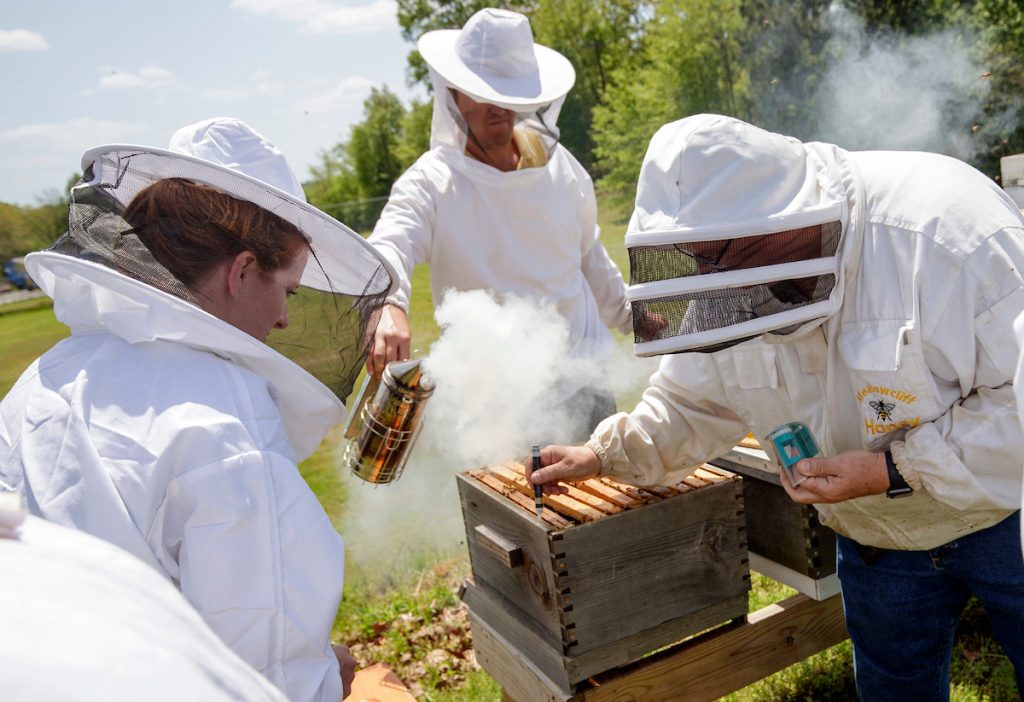 UA Little Rock IT staff member Peter Stuckey shows faculty members several of his bee hives during an Academy for Teaching and Learning Excellence talk at the Campus Garden. Photo by Ben Krain.