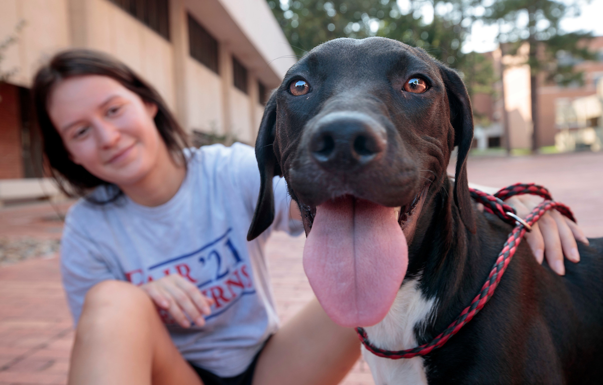 A student pets a rescue dog during Rent-A-Puppy in 2021!