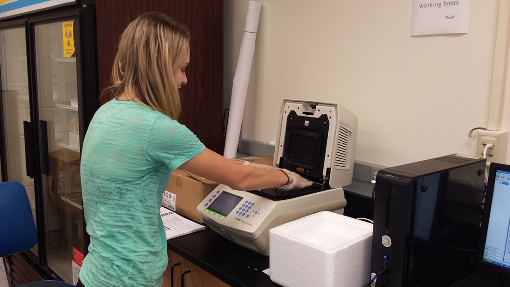 Jordyn Radke conducting research