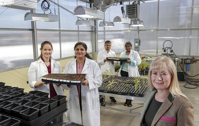 Applied science doctoral students, with Dr. Mariya Khodakovskaya, right, are researching the heat tolerance of rice Students are from rleft, Diamond McGehee, Zoya Faruqui, Kamal Pandey and Sudha Shanmugam.