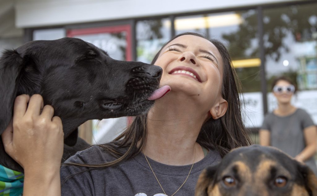 Brittany Wood, volunteer coordinator for CARE, plays with with rescue dogs Salsa, left, a black lab, and Milo, a Beagle mix.