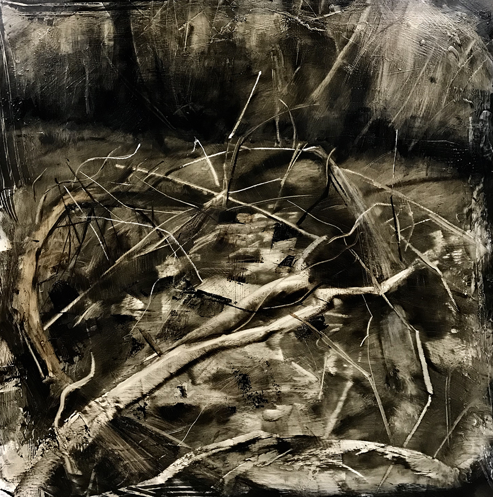 Ricky Sikes' "Internal Landscape #3"