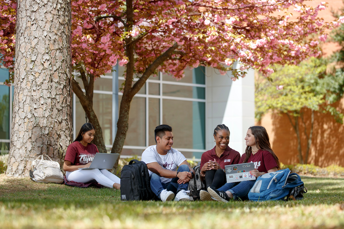 UA Little Rock students study on campus. Photo by Ben Krain.