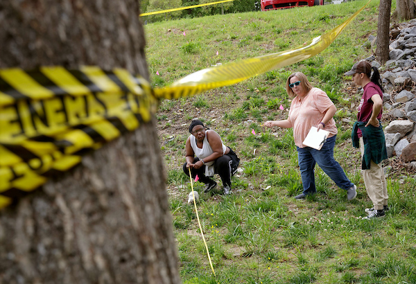 Students in a Forensic Anthropology class gather evidence at a simulated crime scene during a class project exercise. Photo by Benjamin Krain.