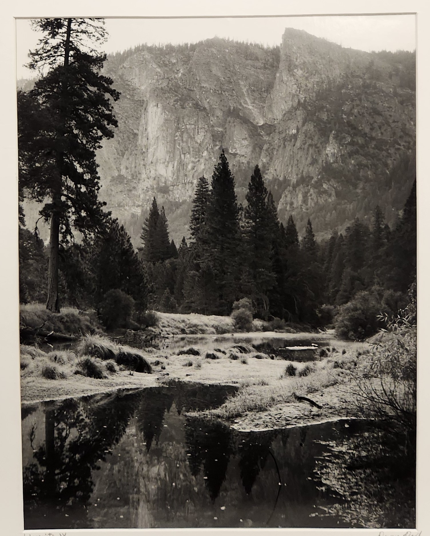 Doyne Dodd's "Yosemite IV"