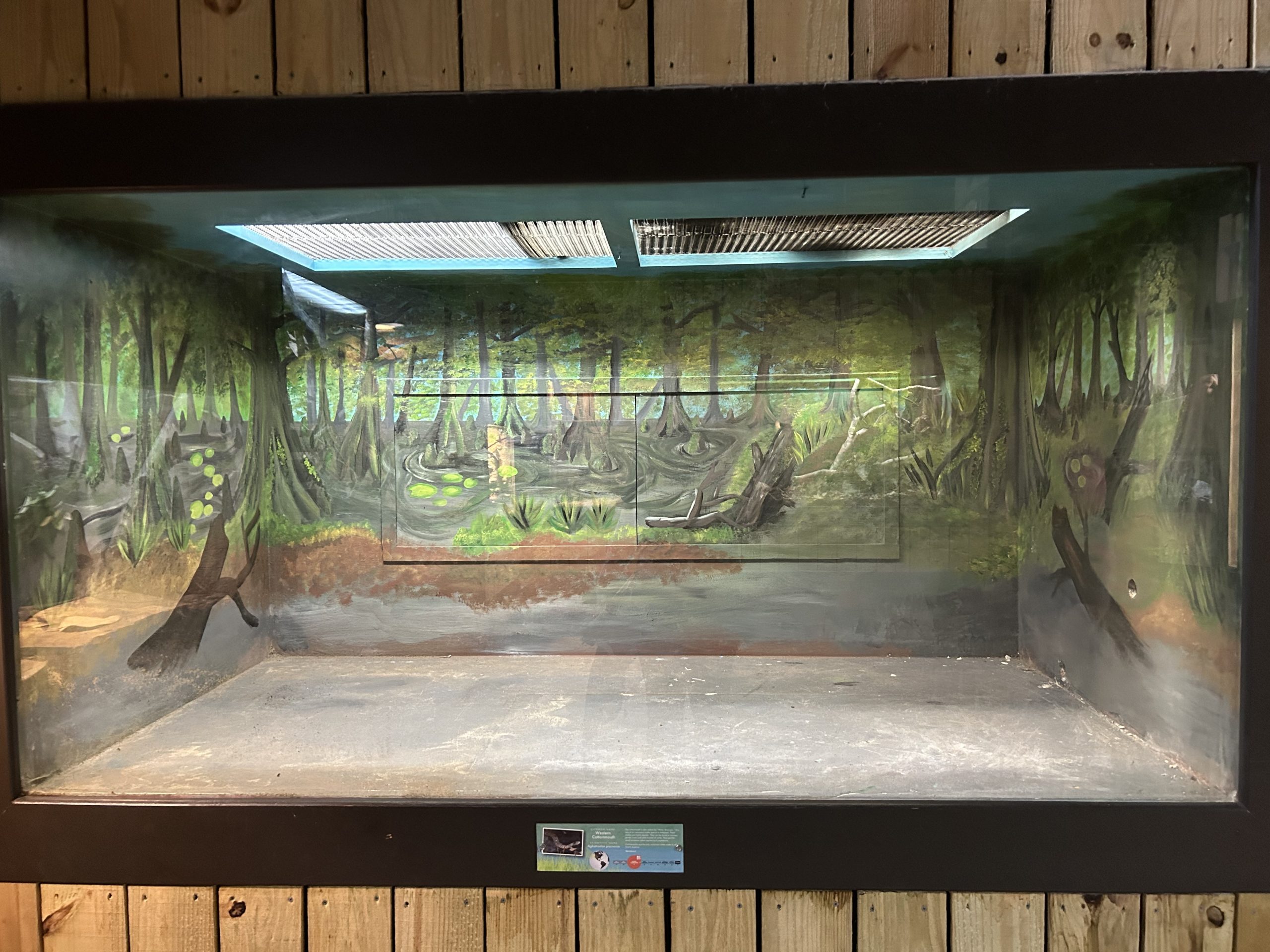 Karen Dauenhauer, assistant professor of scenic design, painted this habitat for a cottonmouth snake this summer at the Little Rock Zoo.