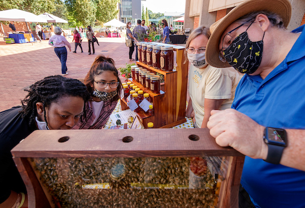 Peter Stuckey, right, shows off his bees and honey to visitors to UA Little Rock's Sustainability Day. Photo by Ben Krain.