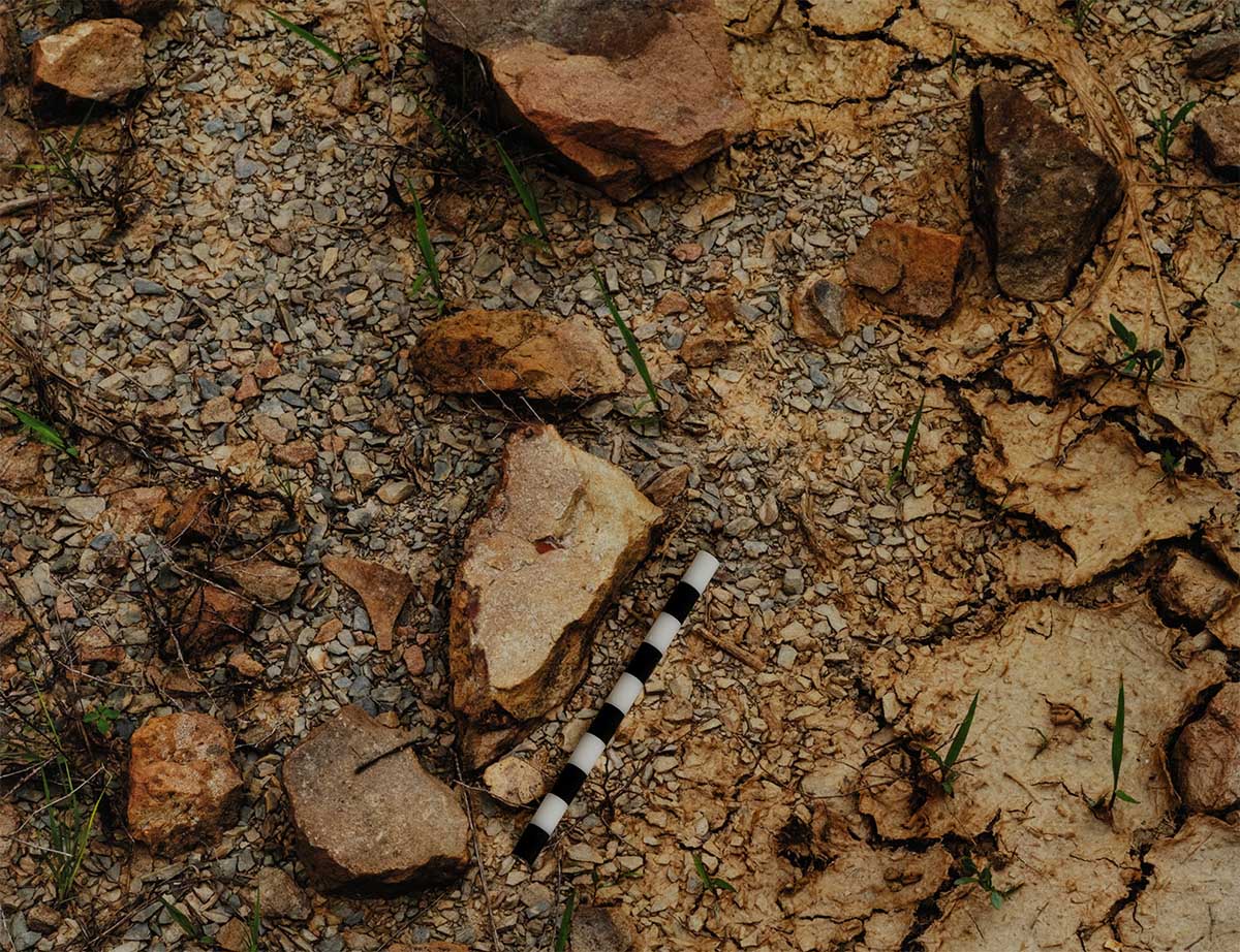 Gary Cawood's "Exhibition Rock Garden"