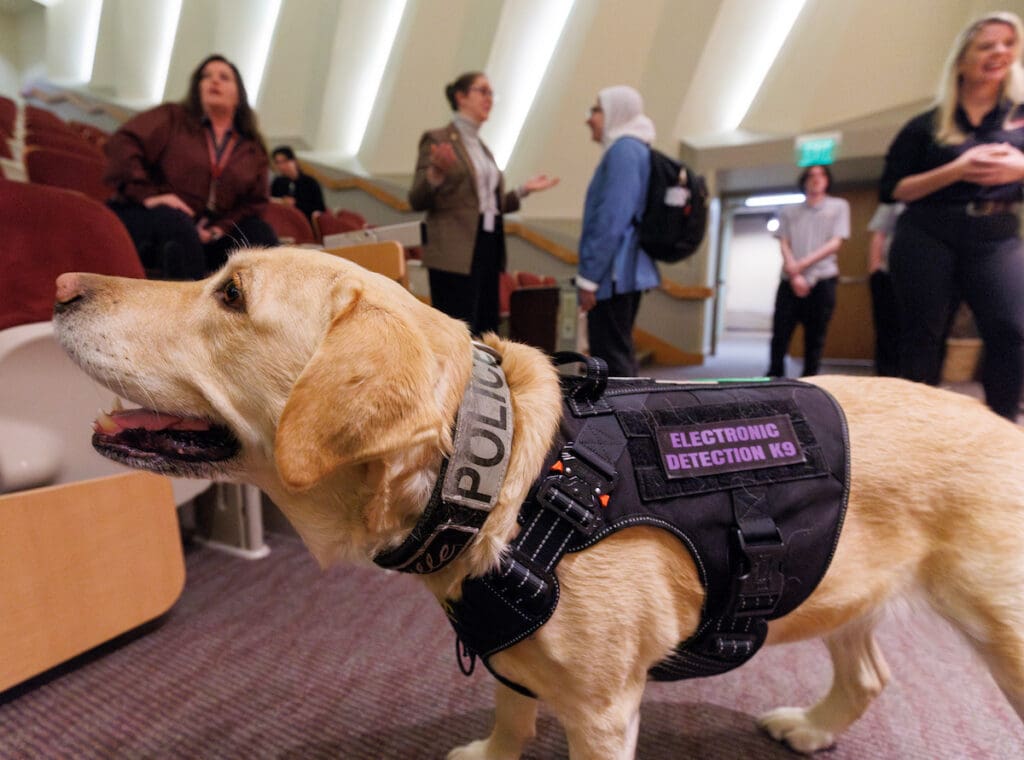 Lucy, an electronic storage detection K9 from the Arkansas Attorney General’s Office, demonstrates how she sniffs-out digital media storage devices during a Cybersecurity Club meeting at UA Little Rock. Photo by Benjamin Krain.
