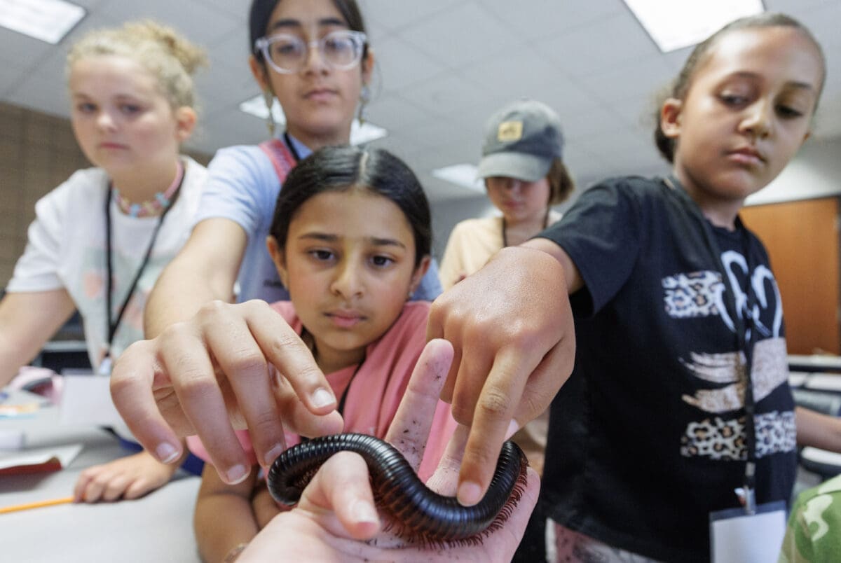 UA Little Rock Hosts 2026 Summer Camps