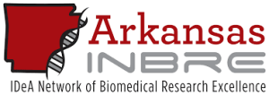 The logo for Arkansas IDeA Network of Biomedical Research Excellence