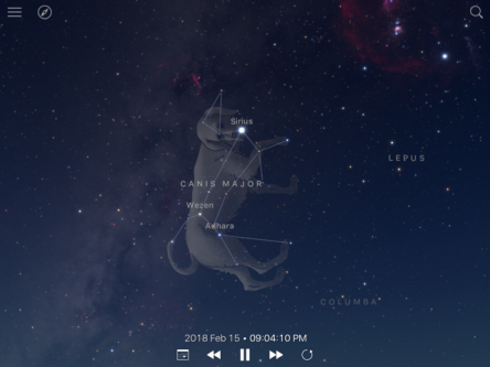Graphic of Canis Major