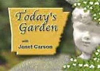 Today's Garden