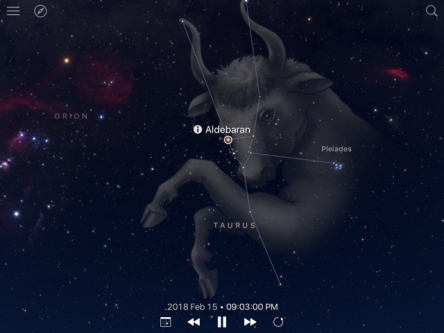 Graphic of constellation Taurus